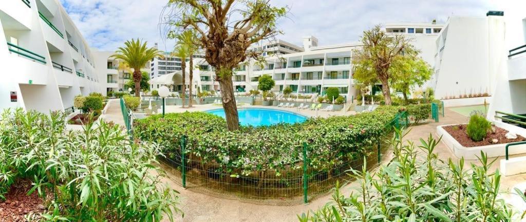 Appartamento Optimist Playa de Las Américas Esterno foto